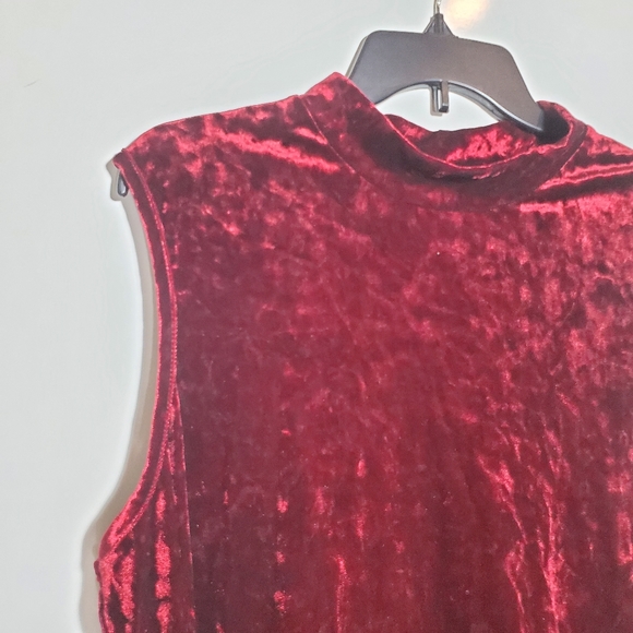 Thyme & Honey Red Velvet Sleeveless Dress 2XL - Picture 3 of 7